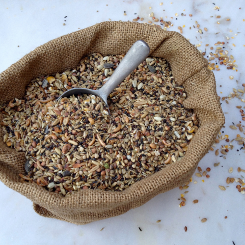 Garden Bird Feed, Garden Birds, Garden Birds Feed