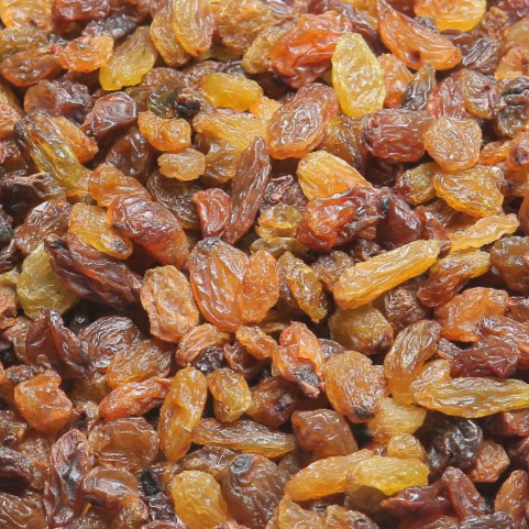 Malayar Raisins, Malayar Raisins Manufacturer In India
