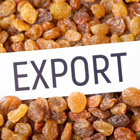 Raisin Exporters, Raisin Exporters In India, Raisin Exporters In Maharashtra, Raisin Exporters In Nashik, Raisin Export From India
