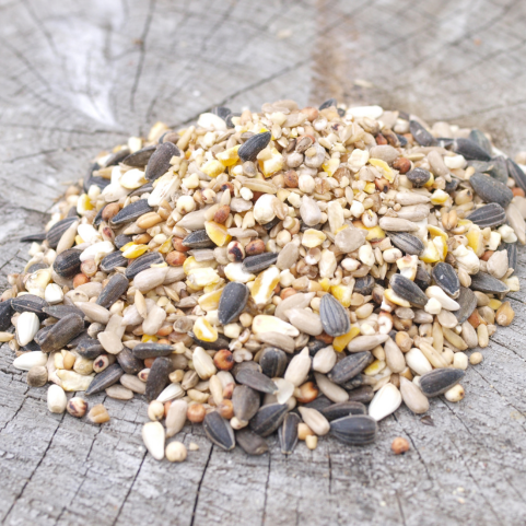 Wild Bird Feed, Cakes For Birds, Raisins For Birds