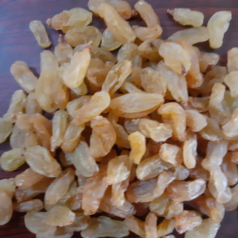 Nashik Golden Raisins, Nashik Golden Raisins Exporters In India, Nashik Golden Raisins Manufacture In India