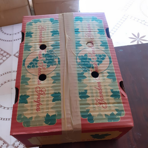 Thompson Seedless Grapes