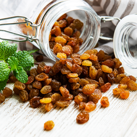 Virtual Raisins Expo, Virtual Raisins Exporters