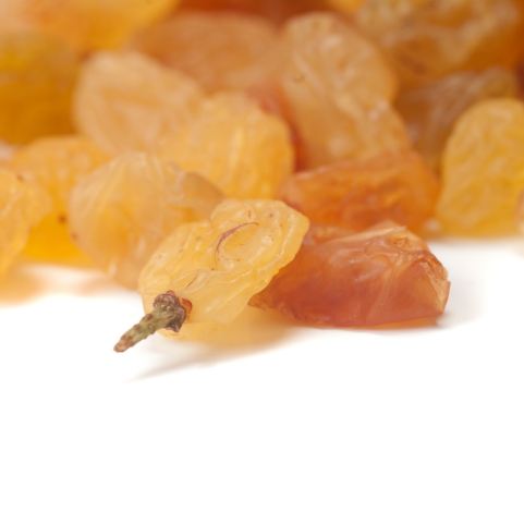 Virtual Raisins Expo, Virtual Raisins Exporters