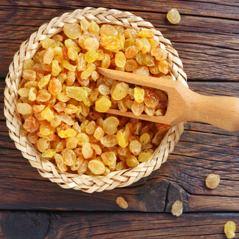 Virtual Raisins Expo, Virtual Raisins Exporters